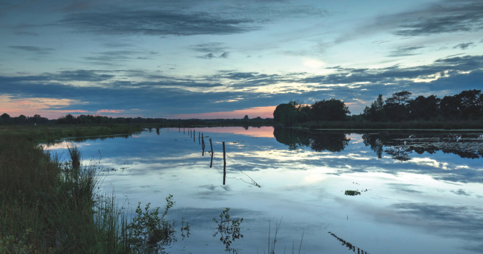 Met andere ogen – natuur in Zundert 1