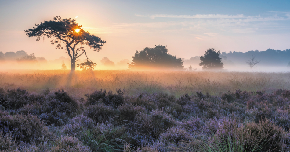 Met andere ogen – natuur in Zundert